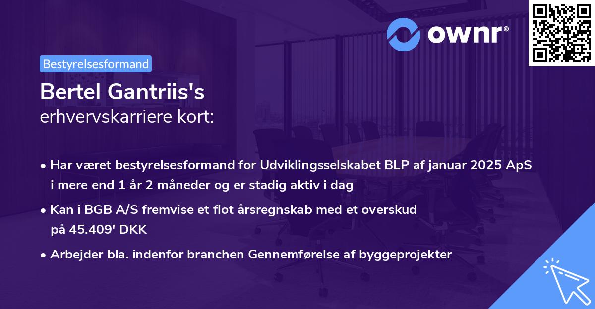 Bertel Gantriis's erhvervskarriere kort