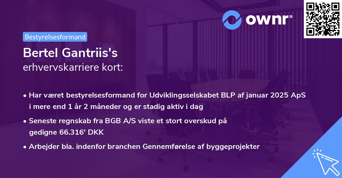 Bertel Gantriis's erhvervskarriere kort