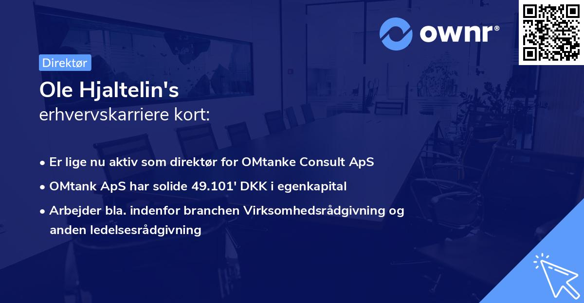 Ole Hjaltelin's erhvervskarriere kort