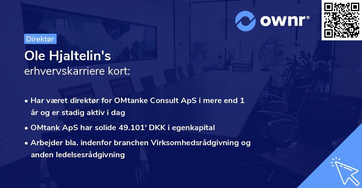Ole Hjaltelin's erhvervskarriere kort