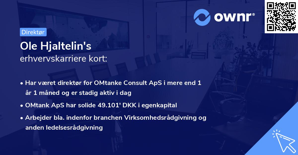 Ole Hjaltelin's erhvervskarriere kort