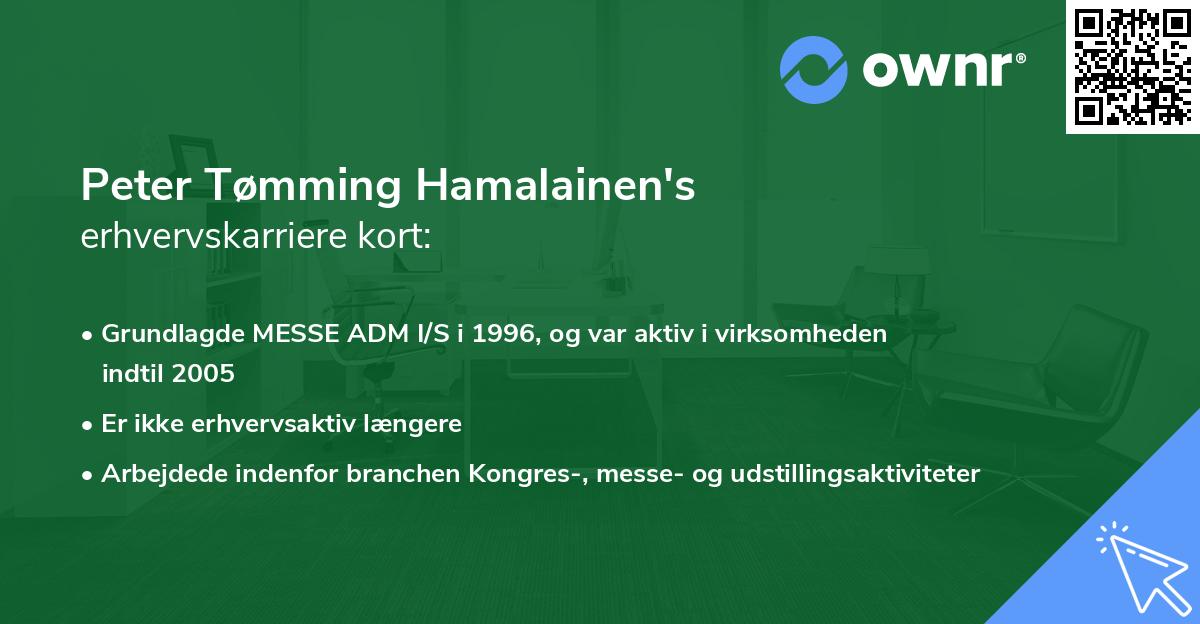 Peter Tømming Hamalainen's erhvervskarriere kort