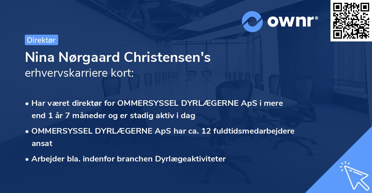 Nina Nørgaard Christensen's erhvervskarriere kort