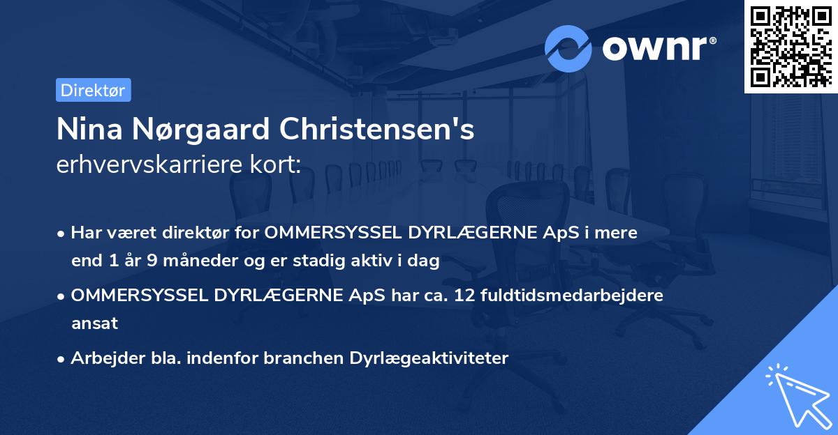 Nina Nørgaard Christensen's erhvervskarriere kort