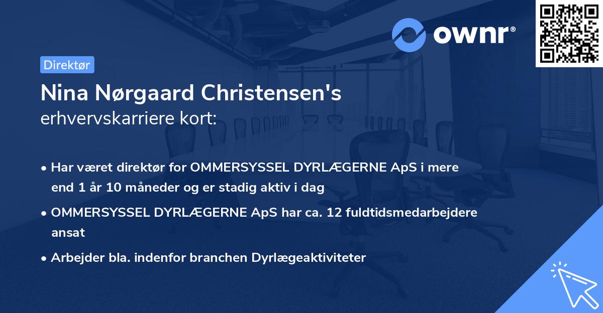 Nina Nørgaard Christensen's erhvervskarriere kort