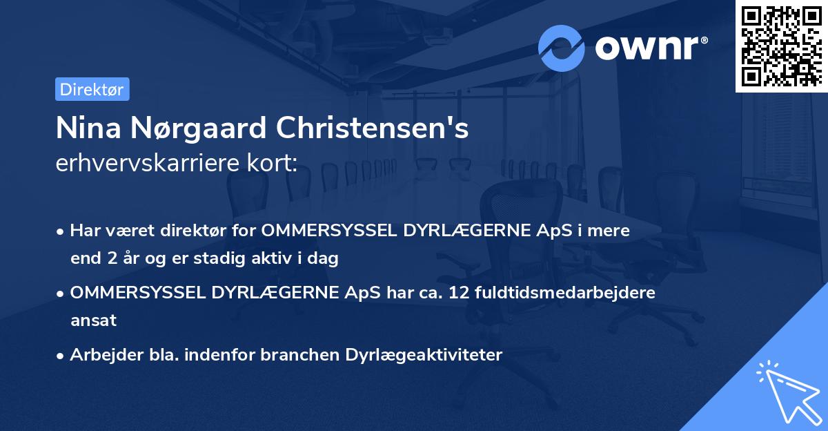 Nina Nørgaard Christensen's erhvervskarriere kort