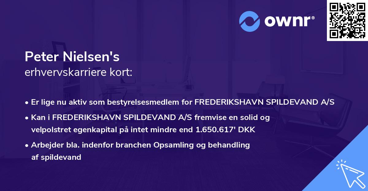 Peter Nielsen's erhvervskarriere kort