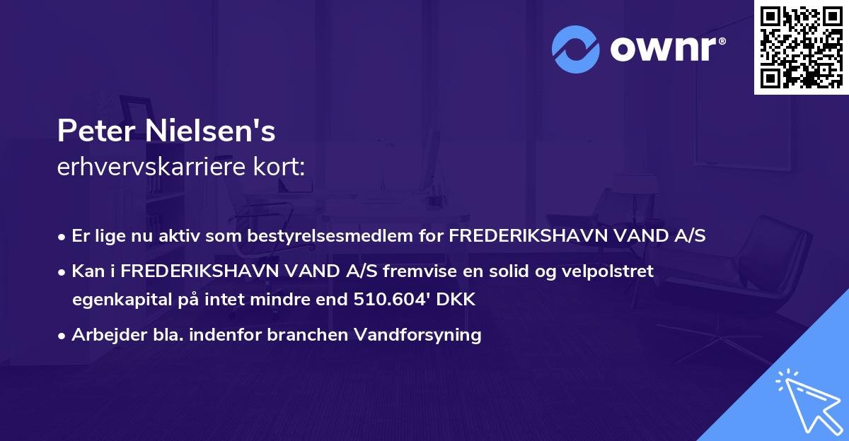 Peter Nielsen's erhvervskarriere kort