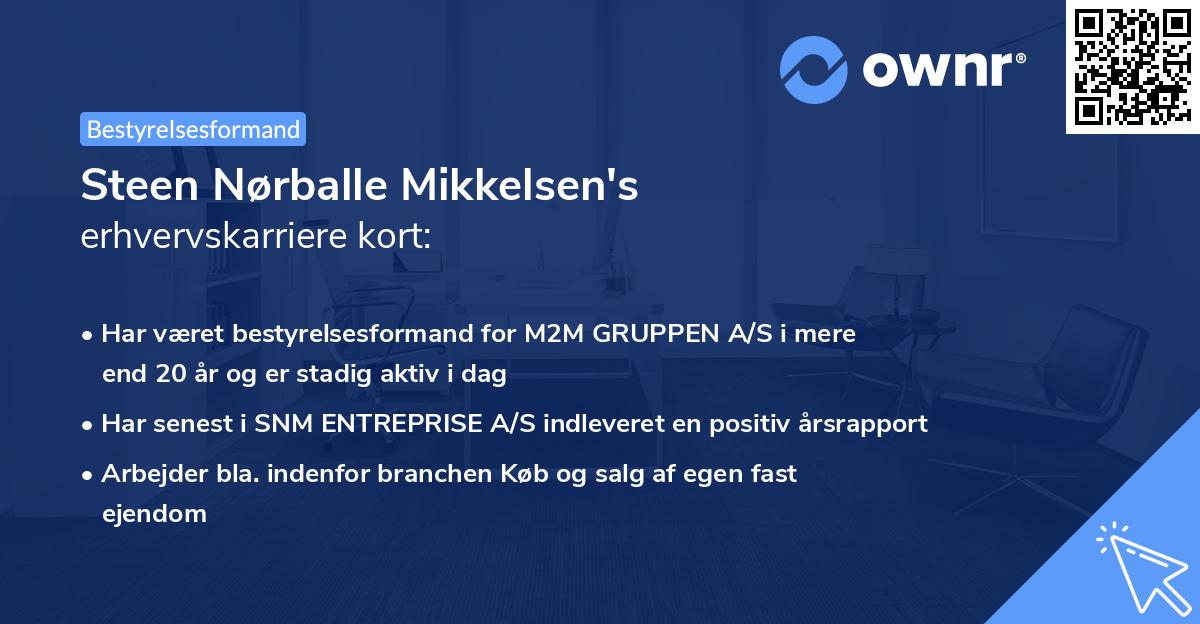 Steen Nørballe Mikkelsen's erhvervskarriere kort