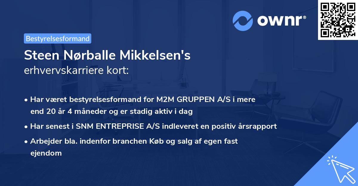 Steen Nørballe Mikkelsen's erhvervskarriere kort