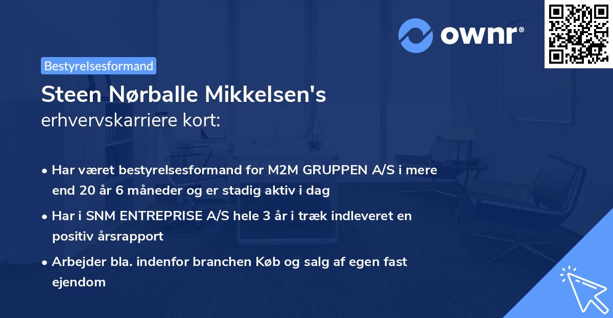 Steen Nørballe Mikkelsen's erhvervskarriere kort