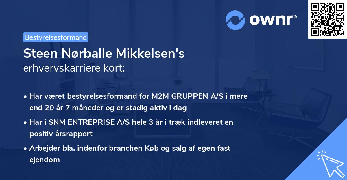 Steen Nørballe Mikkelsen's erhvervskarriere kort