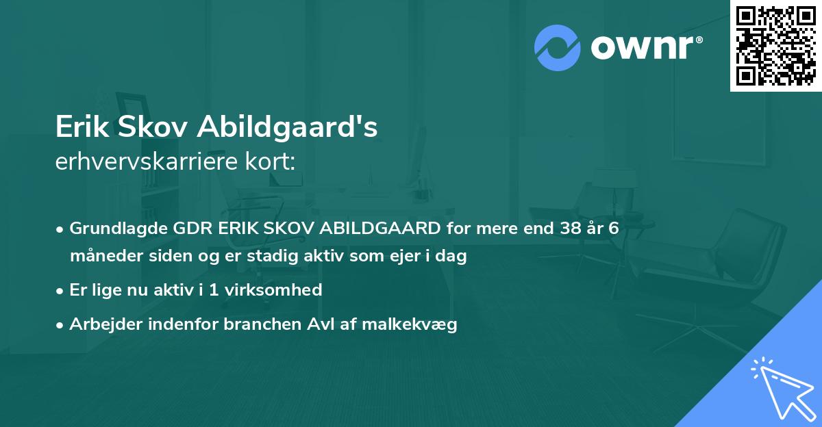 Erik Skov Abildgaard's erhvervskarriere kort