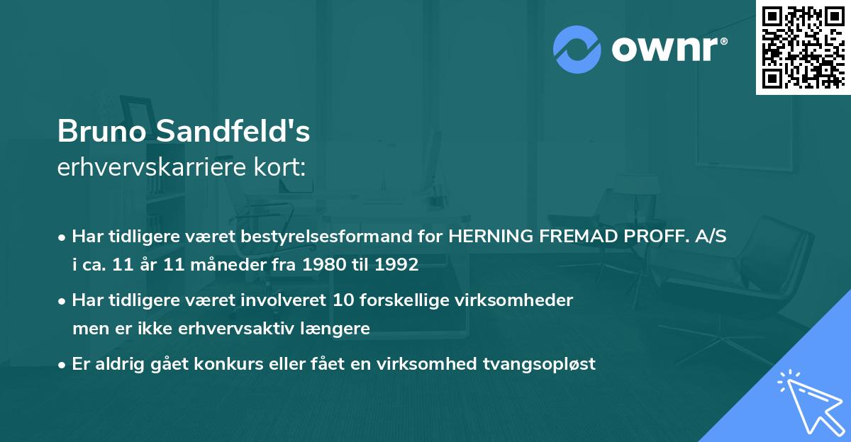 Bruno Sandfeld's erhvervskarriere kort