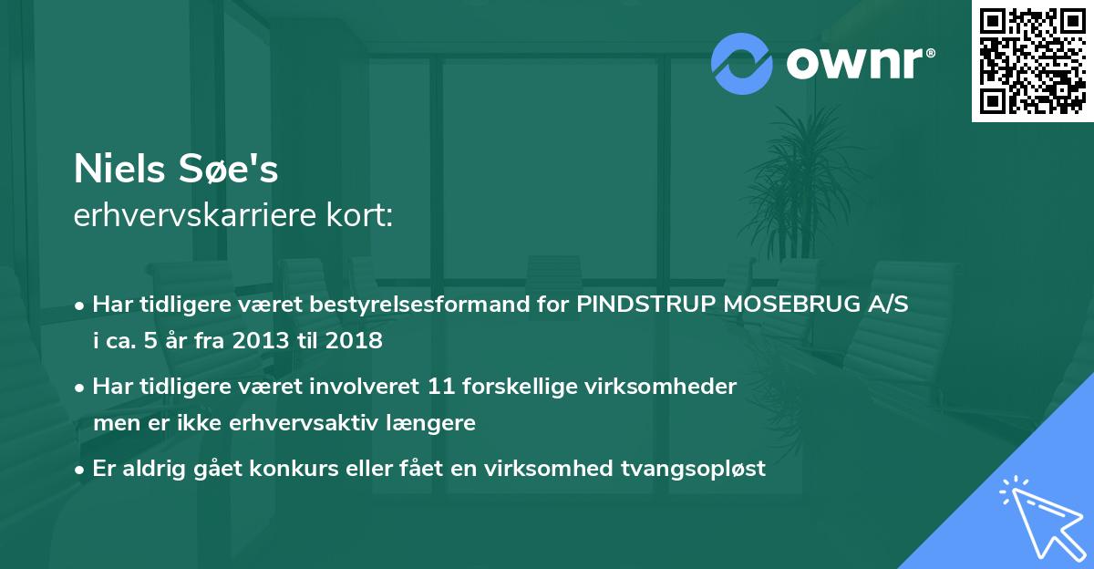 Niels Søe's erhvervskarriere kort