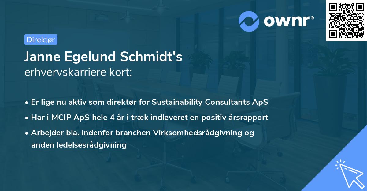 Janne Egelund Schmidt's erhvervskarriere kort