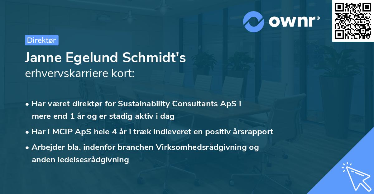 Janne Egelund Schmidt's erhvervskarriere kort