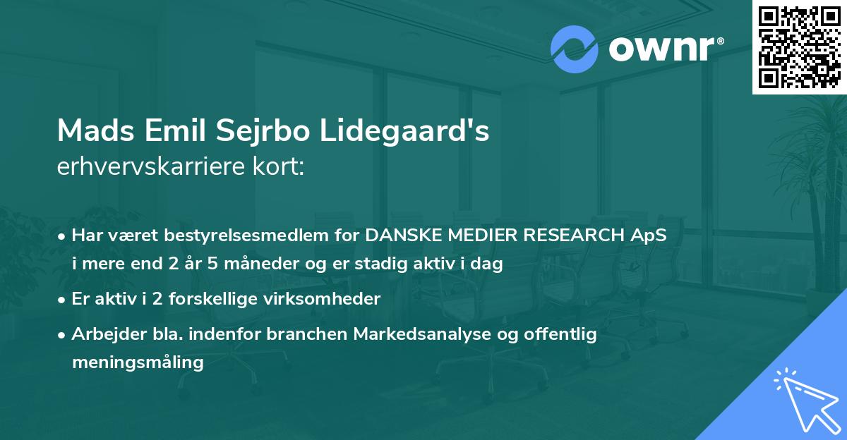 Mads Emil Sejrbo Lidegaard's erhvervskarriere kort