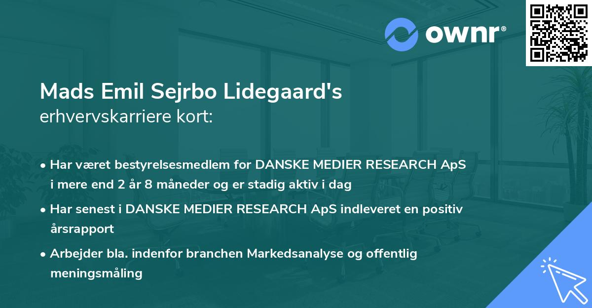 Mads Emil Sejrbo Lidegaard's erhvervskarriere kort