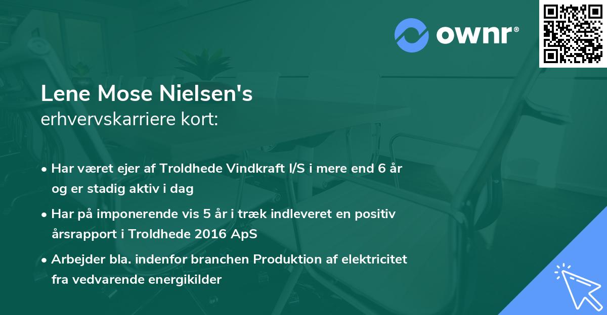 Lene Mose Nielsen's erhvervskarriere kort
