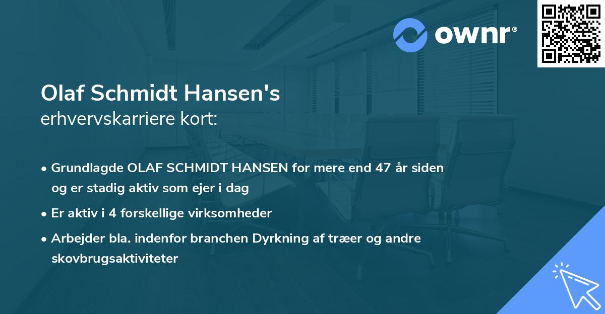 Olaf Schmidt Hansen's erhvervskarriere kort