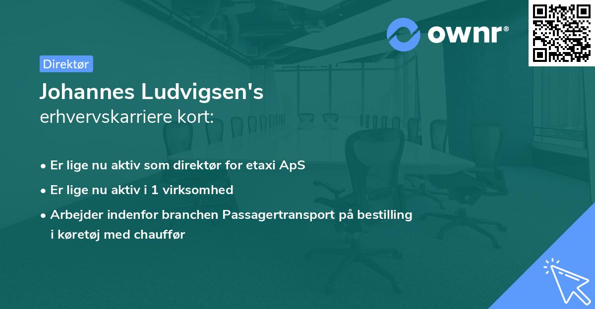 Johannes Ludvigsen's erhvervskarriere kort
