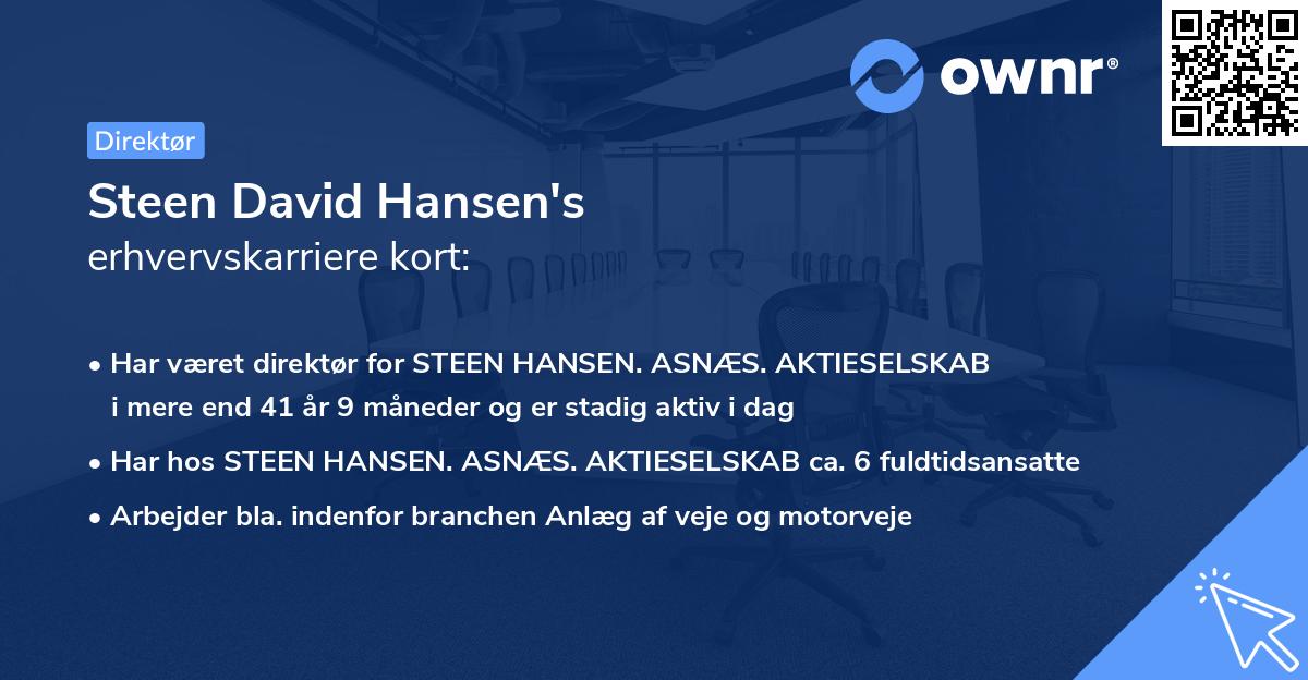 Steen David Hansen's erhvervskarriere kort