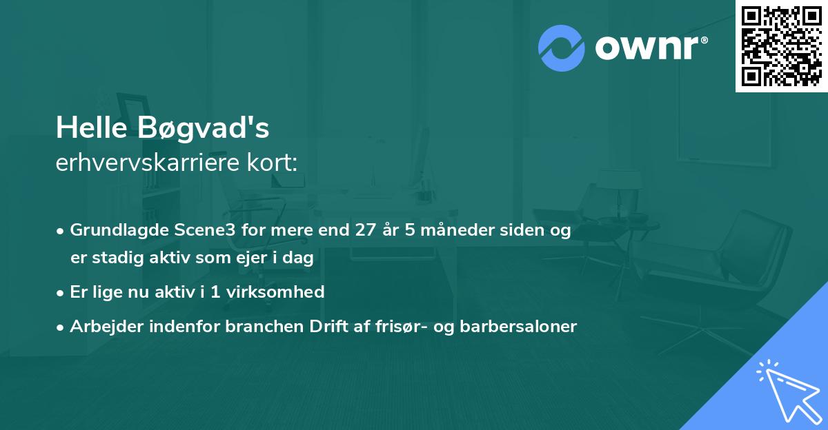Helle Bøgvad's erhvervskarriere kort