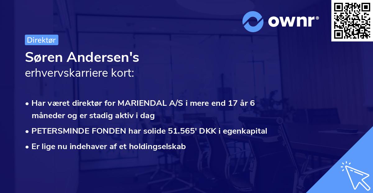 Søren Andersen's erhvervskarriere kort