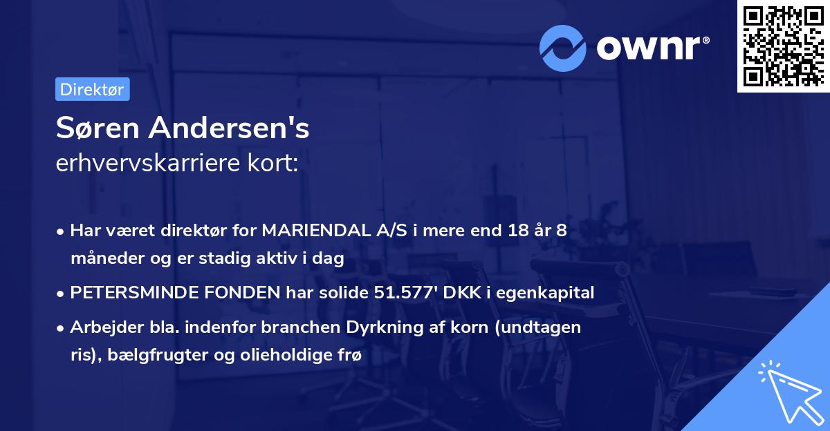 Søren Andersen's erhvervskarriere kort