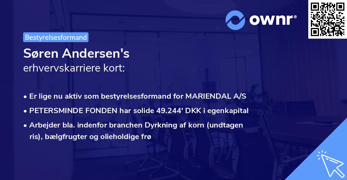 Søren Andersen's erhvervskarriere kort