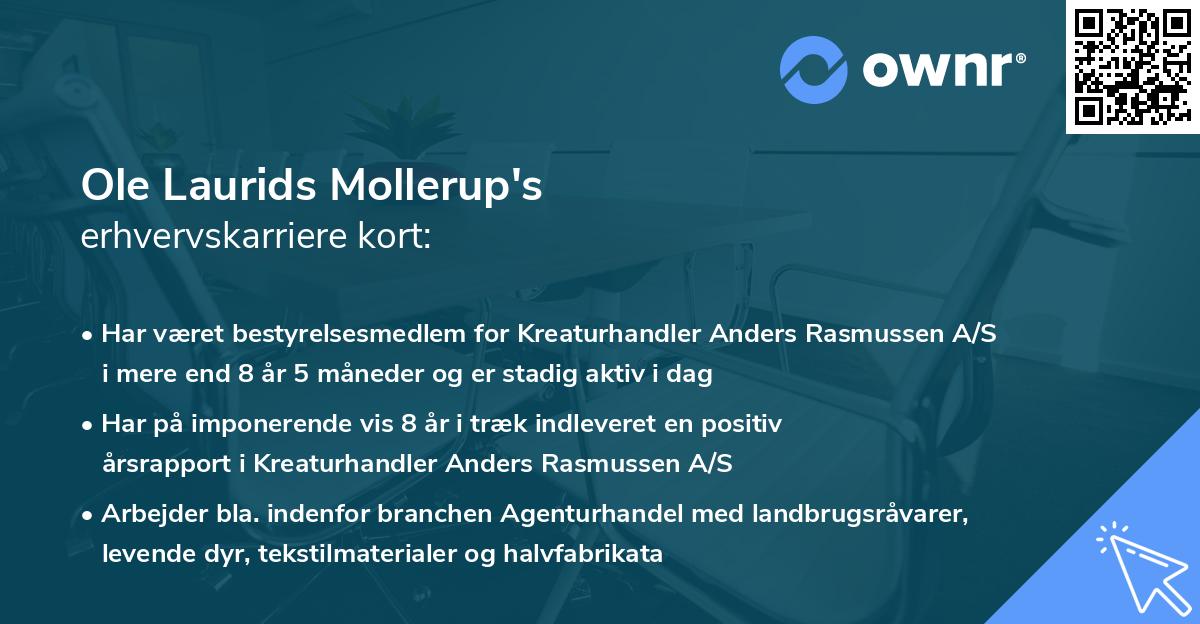 Ole Laurids Mollerup's erhvervskarriere kort