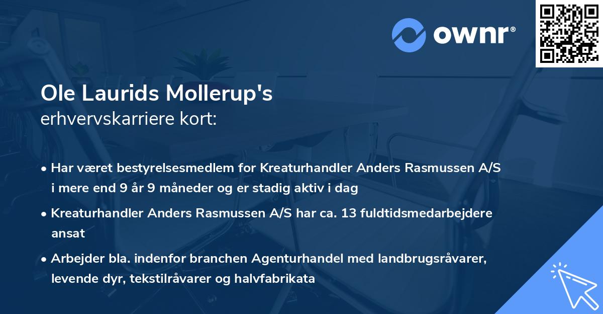 Ole Laurids Mollerup's erhvervskarriere kort