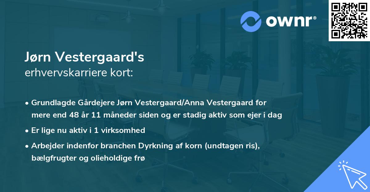 Jørn Vestergaard's erhvervskarriere kort