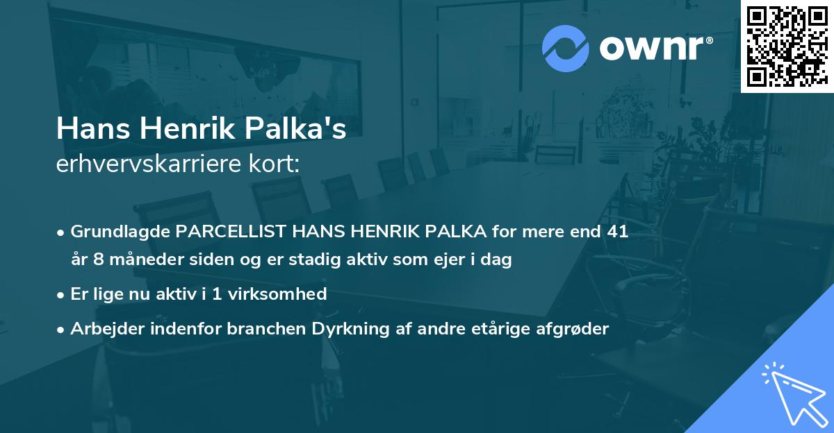 Hans Henrik Palka's erhvervskarriere kort