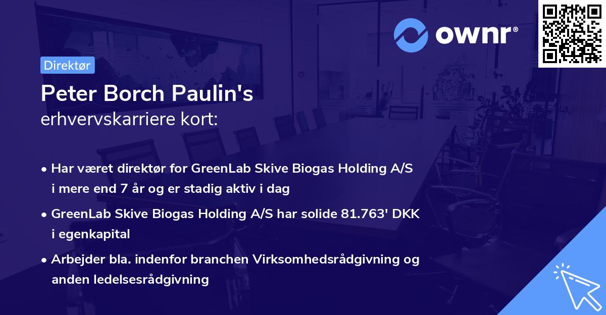 Peter Borch Paulin's erhvervskarriere kort