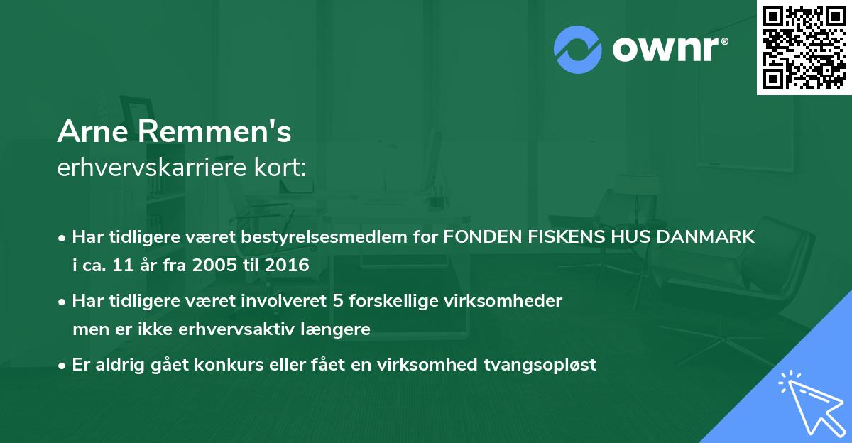 Arne Remmen's erhvervskarriere kort