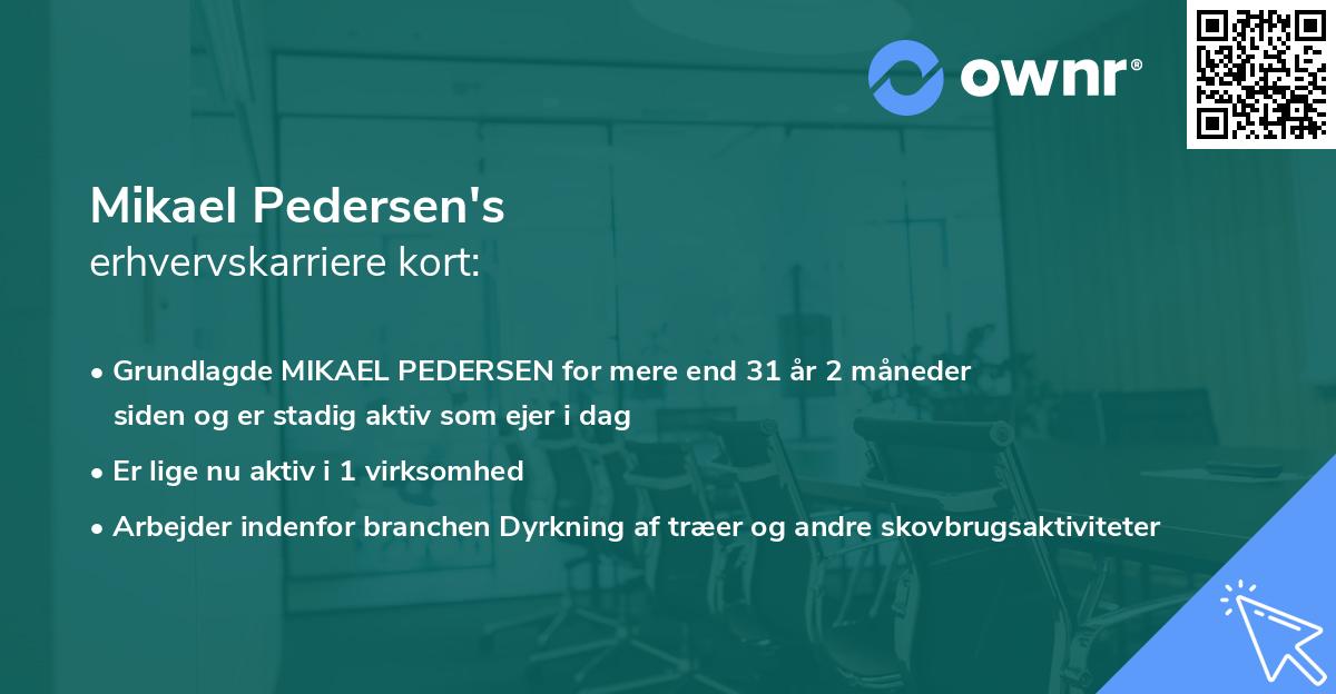Mikael Pedersen's erhvervskarriere kort
