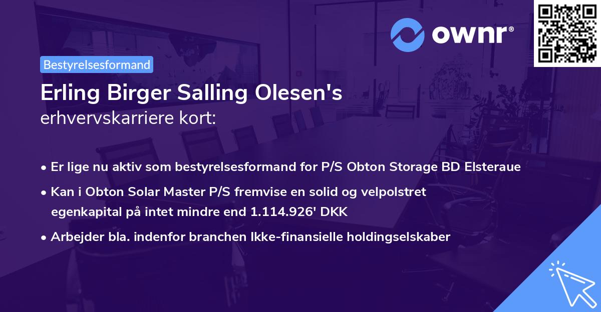 Erling Birger Salling Olesen's erhvervskarriere kort