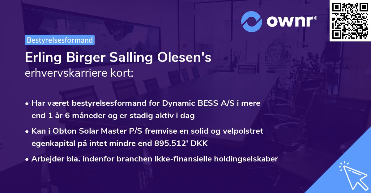 Erling Birger Salling Olesen's erhvervskarriere kort