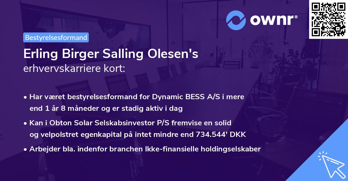 Erling Birger Salling Olesen's erhvervskarriere kort