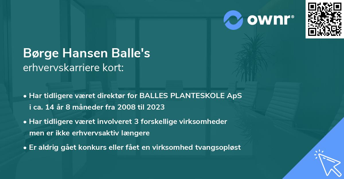 Børge Hansen Balle's erhvervskarriere kort