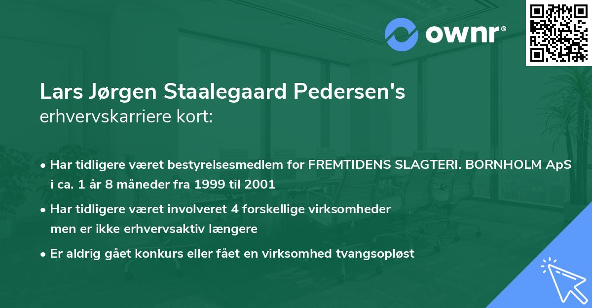 Lars Jørgen Staalegaard Pedersen's erhvervskarriere kort