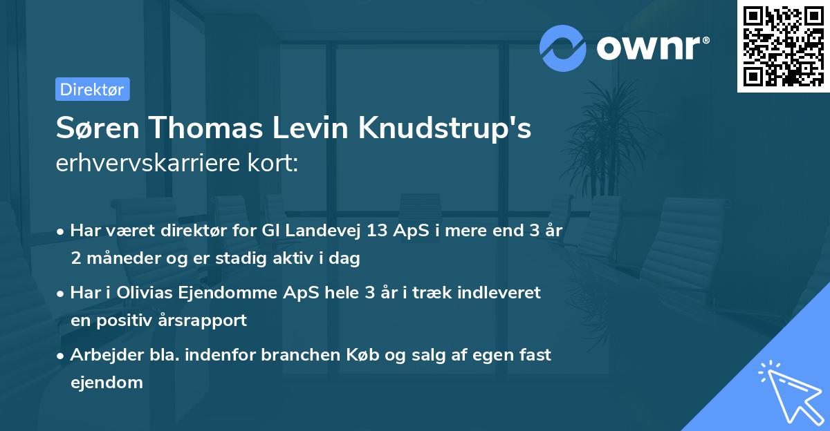 Søren Thomas Levin Knudstrup's erhvervskarriere kort