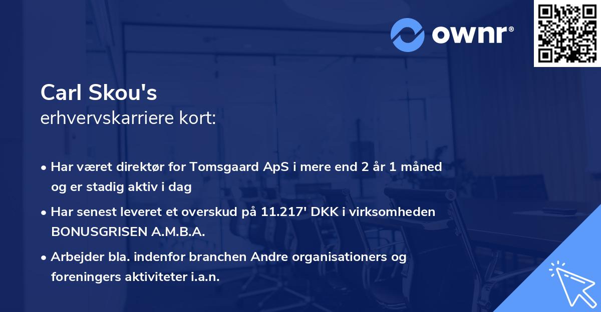 Carl Skou's erhvervskarriere kort