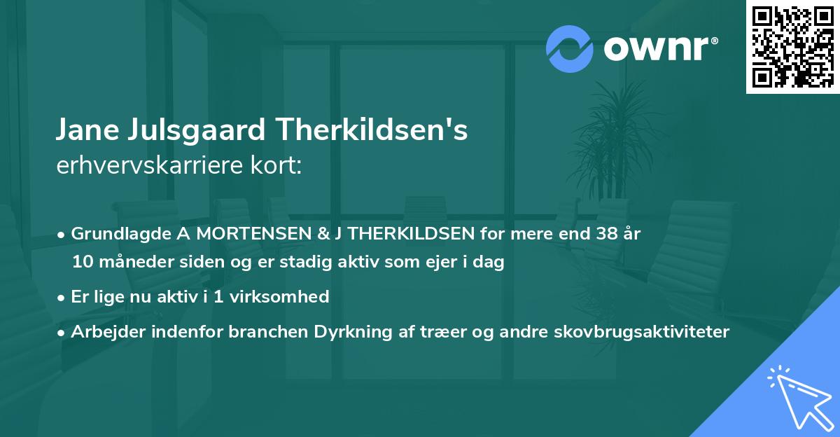Jane Julsgaard Therkildsen's erhvervskarriere kort