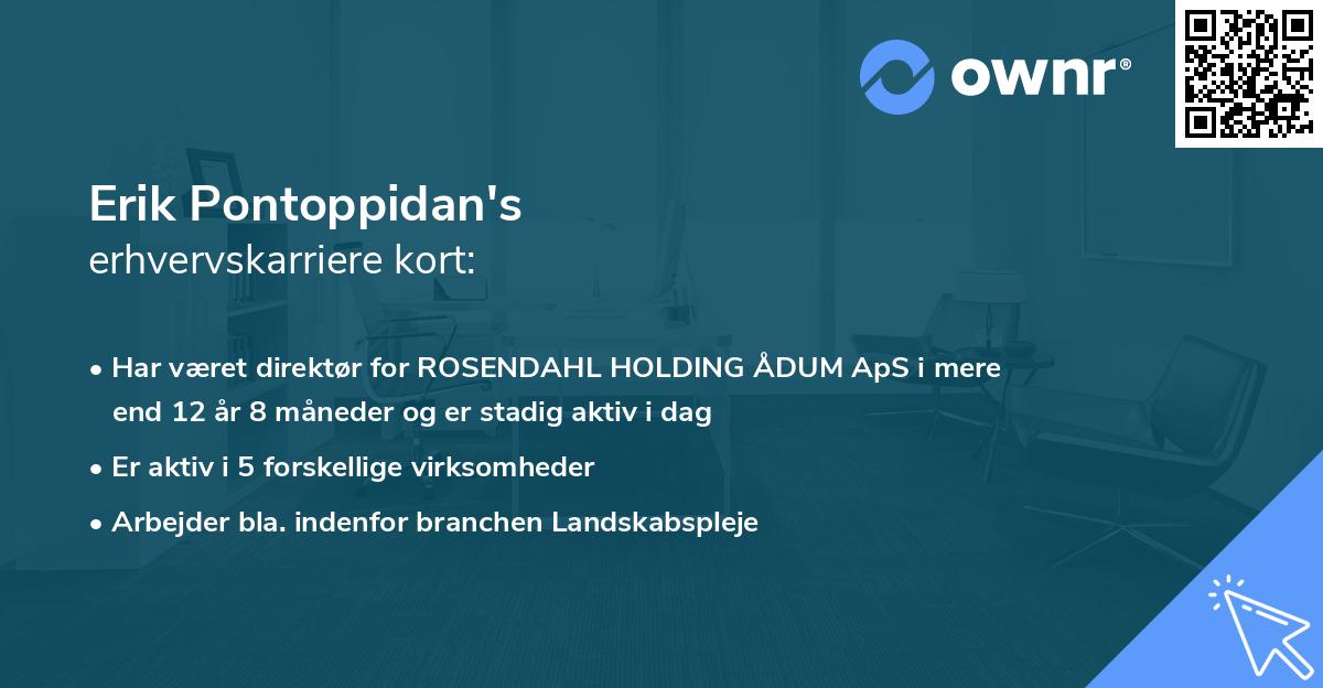 Erik Pontoppidan's erhvervskarriere kort