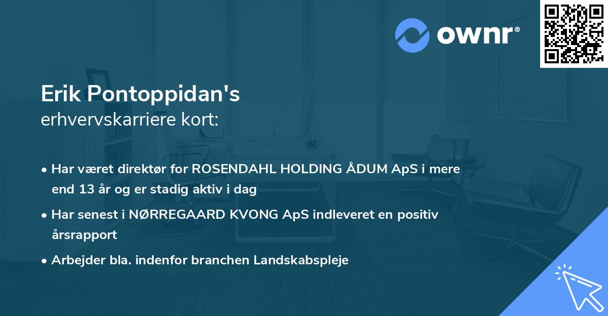 Erik Pontoppidan's erhvervskarriere kort