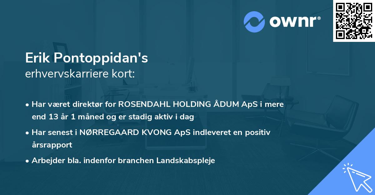 Erik Pontoppidan's erhvervskarriere kort