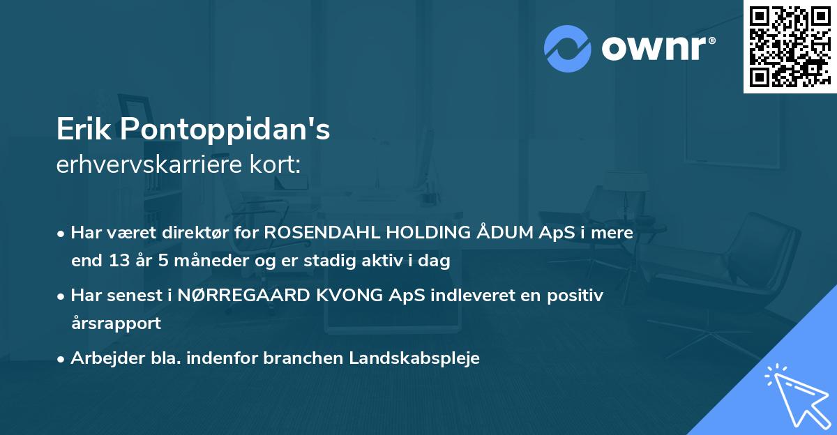 Erik Pontoppidan's erhvervskarriere kort